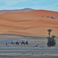 It seems the bdo gods favor me this day as the camel i got today started with the sprint equivalent. Where The Black Desert Meets The Sahara Near Merzouga Morocco Travel