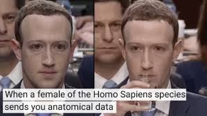 Последние твиты от mark zuckerberg memes (@zuckerbergmemes). Hilarious Mark Zuckerberg Meme Inspired By Robotic Facebook Boss Zuckerberg Meme Memes Mark Zuckerberg