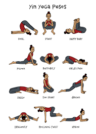 yin yoga pose chart 2 5x7 postcards basic yoga poses