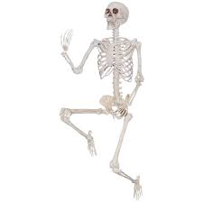 Pin On Halloween