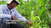 En méxico, en el grupo de radiocomunicaciones. Dia Del Ingeniero Agronomo 2020 Mexico Youtube