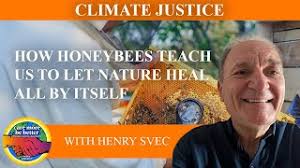 How Honeybees Teach Us To Let Nature Heal All By Itself With Henry Svec