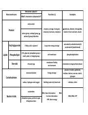 macromolecules chart activitykey pdf monomer subunit