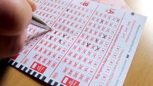 We protect animals in danger around the world. Unclaimed Lottery Ticket Worth 9 5 Million Bought In Lincolnshire Itv News Central