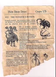 Polyjuice Sheet V 1 0 Harry Potter Potions Harry Potter Props Harry Potter Crafts