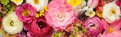 Maybe you would like to learn more about one of these? Wholesale Flowers Kittelberger Florist Rochester Webster Ny