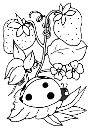Check spelling or type a new query. Planse De Colorat Insecte Buburuze De Colorat P03 Desene De Colorat Insecte Buburuze De Colorat P03