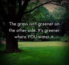 Just one has to prioritize where to invest and how. The Grass Is Greener Where You Water It Pictures Photos And Images For Facebook Tumblr Pinterest And Twitter