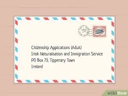 Once a person is entered onto the foreign births register they are an irish citizen and entitled to apply for an irish passport. Easy Ways To Become An Irish Citizen 12 Steps With Pictures