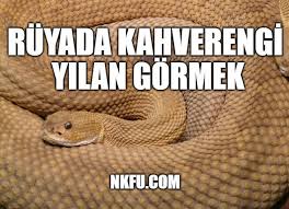 Ruyada Kahverengi Yilan Gormek Ne Anlama Gelir Ruyada Yilan Nkfu