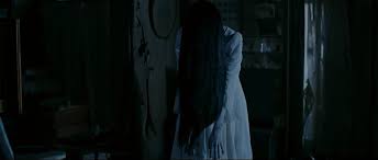 Ryan's Movie Reviews: Sadako vs Kayako Review
