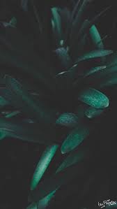Pin On Wallpapers