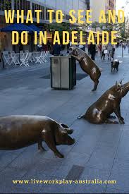 Adelaide What To See And Do City Of Adelaide Visit Australia Sailing Trips