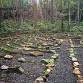 October Labyrinth Walk Mini-Retreat event image