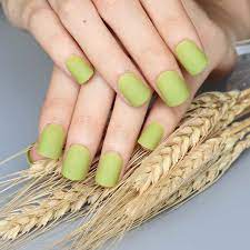 See more ideas about nail polish, green nail polish, nails. New Fashion Women Matte Candy False Nails Short Round Tail Light Green Kp207 Nails Short False Nailsfashion False Nails Aliexpress