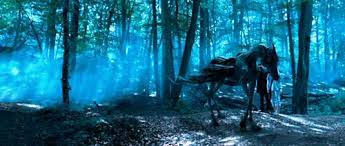 Few of the students in hagrid's care of magical creatures class could see the thestrals during harry's fifth year (only harry. Thestral Harry Potter Wiki Fandom