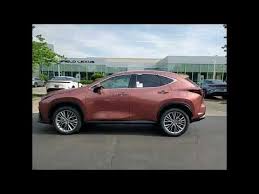 Image result for Autumn Shimmer 2018 NX