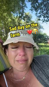 Walter and Jordy Missing Dogs