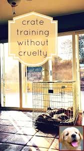 House Training A Puppy And Clicker Training Your Dogs Crate Training Puppy Training Dog Behavior Problems