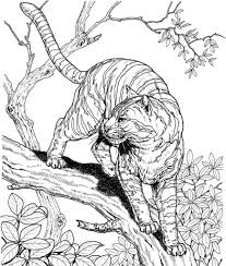 From your shopping list to your doorstep in as little as 2 hours. Jungle Animals Coloring Pages Printable Coloring Pages