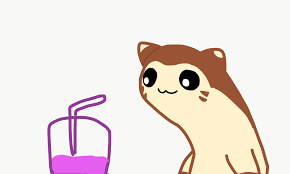 DICKS Pokemon Art Dump LEAN FURRET LEANED AND LOVIN IT