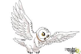 Hedwig owl coloring have fun coloring this hedwig owl coloring page with this fun color by number worksheet. How To Draw Hedwig From Harry Potter Drawingnow