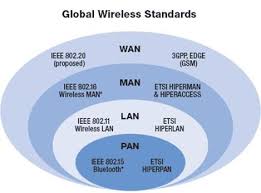 Types Of Networks Lan Wan Wlan Man San Pan Epn Induced Info
