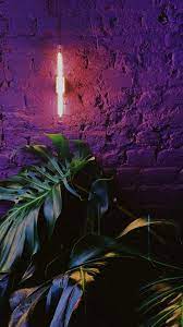 Plants Botanical Wallpaper Background Color Colorful Pastel Aesthetic Neon Light Background For Photography Neon Wallpaper Plant Wallpaper