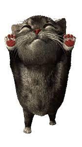 Check spelling or type a new query. Dreamies De Gif Lustig Tiere Animierte Emoticons Lustige Videos