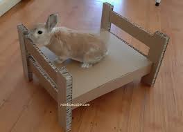Check spelling or type a new query. Cardboard Bunny Bed How To Make A Pet Rabbit Bed Rainbow Cabin