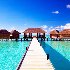 Follow the vibe and change your wallpaper every day! 49 Tumblr Wallpaper For Iphone Summer On Wallpapersafari