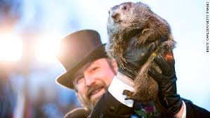 Punxsutawney is a borough in jefferson county, pennsylvania, united states, 84 miles (135 km) northeast of pittsburgh. See Punxsutawney Phil Make His Prediction Cnn Video
