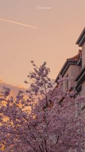 See more ideas about aesthetic wallpapers, . Pin On Lash Quotes Landscape Wallpaper Beautiful Landscape Wallpaper Scenery Wallpaper