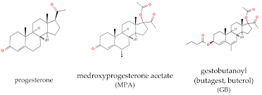 Image result for Pregnane Progestin