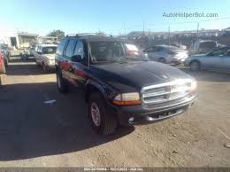 Image result for Deep Amethyst 1998 Durango