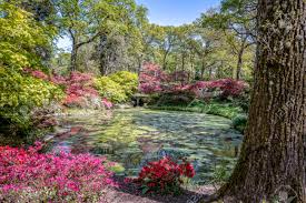 Check spelling or type a new query. Tranquil Pond In An English Landscape Garden In Spring Stock Photo Picture And Royalty Free Image Image 101884674