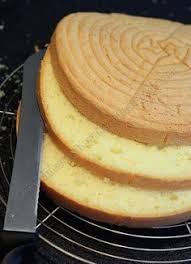 A Featherweight Sponge Cake Amuse Bouche Sweet Recipes Desserts Food