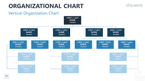 25 uncommon vertical organisation chart