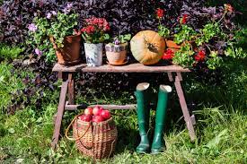 Denn erst tauchen die herbstblüher den garten in knallige farben, dann leuchtet das herbstlaub in feurigen farben. Garten Im Herbst 6 To Dos Fur Hobbygartner