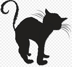 Designs featured by the illustrators. Schwarze Katze Freitag Der 13 Katzchen Schnurrhaare Clip Art Katzchen Png Herunterladen 923 848 Kostenlos Transparent Katze Png Herunterladen
