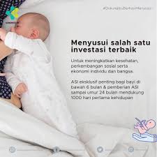 Jadwal makan dan menyusu bayi 6 bulan. Kementerian Komunikasi Dan Informatika