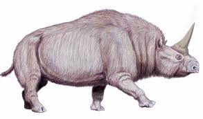 List Of Extinct Animals Of Europe Wikiwand