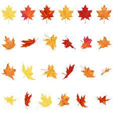 Coloring Book Fall Leafs Images Free And Colors Chart