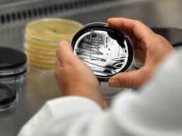 Allerdings wird nur selten auf legionellen getestet, sodass nur wenige erkrankungen gefunden und gemeldet werden. Legionellen Gefahrliche Keime Im Trinkwasser Ndr De Ratgeber Gesundheit