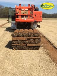 Maybe you would like to learn more about one of these? Our Cartersville Georgia Farm Is Switching From Bermudagrass Slabs To Rolls With Their New Trebro Sod Harvester View From The Back Showin Sod Sod Grass Farm