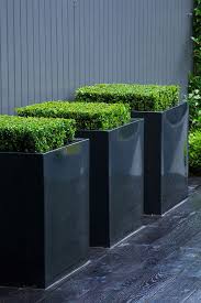 Pin On Gardens