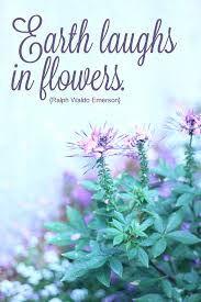 Earth Laughs In Flowers Flower Quotes Nature Quotes Flowers