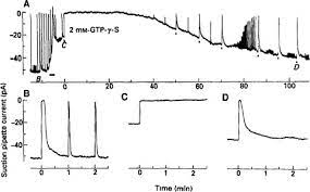 A perfect example of this is the steering system on many cars. Intracellular Messengers In Vertebrate Photoreceptors Springerlink