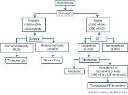 Parapneumonic effusion is a pleural fluid collection in association with an underlying pneumonia. Recommendations Of Diagnosis And Treatment Of Pleural Effusion Update Archivos De Bronconeumologia
