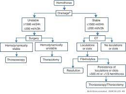 Maybe you would like to learn more about one of these? Recommendations Of Diagnosis And Treatment Of Pleural Effusion Update Archivos De Bronconeumologia